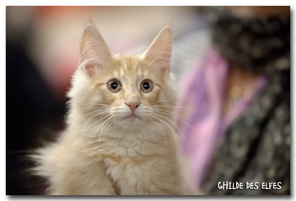 jason3.jpg - Jason du Domaine des Comtes de Moscone