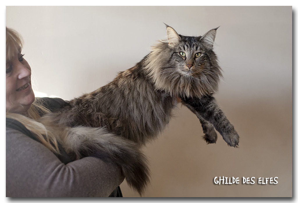 hiphop1.jpg - Hip Hop de la Prise Fresnel, nominé au BIS le dimanche !