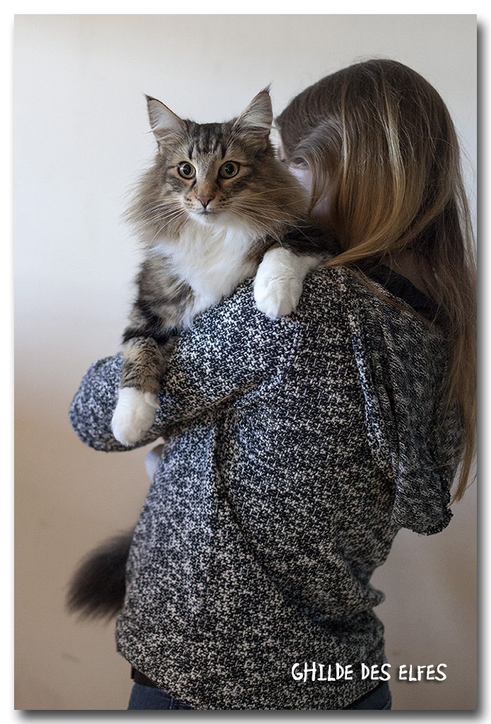 ikatz3.jpg - Ikatz de Sigriou, mâle neutre, BIS les deux jours !