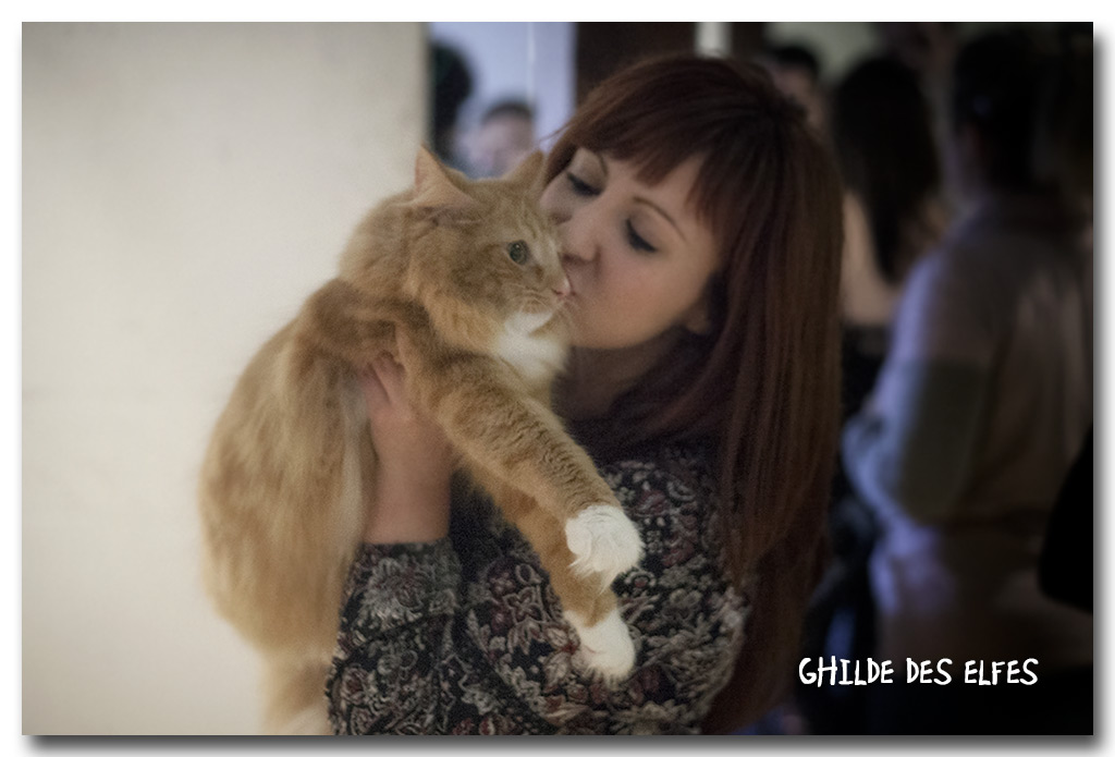 palmyra1.jpg - Palmyra Nabatea, femelle adulte