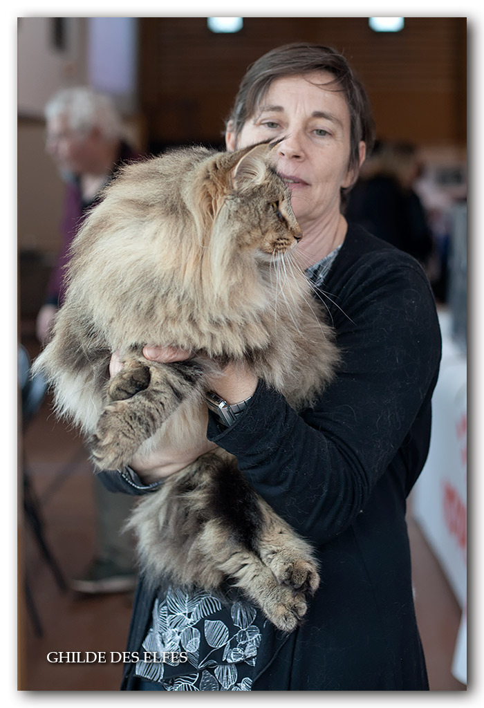 ENZO2.jpg - Nordrasill Enzo