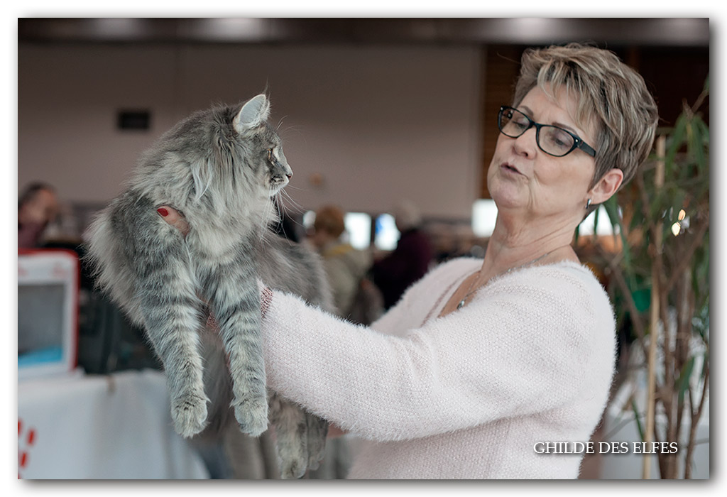 Moscone1.jpg - Nalya de la Forêt d'Agre