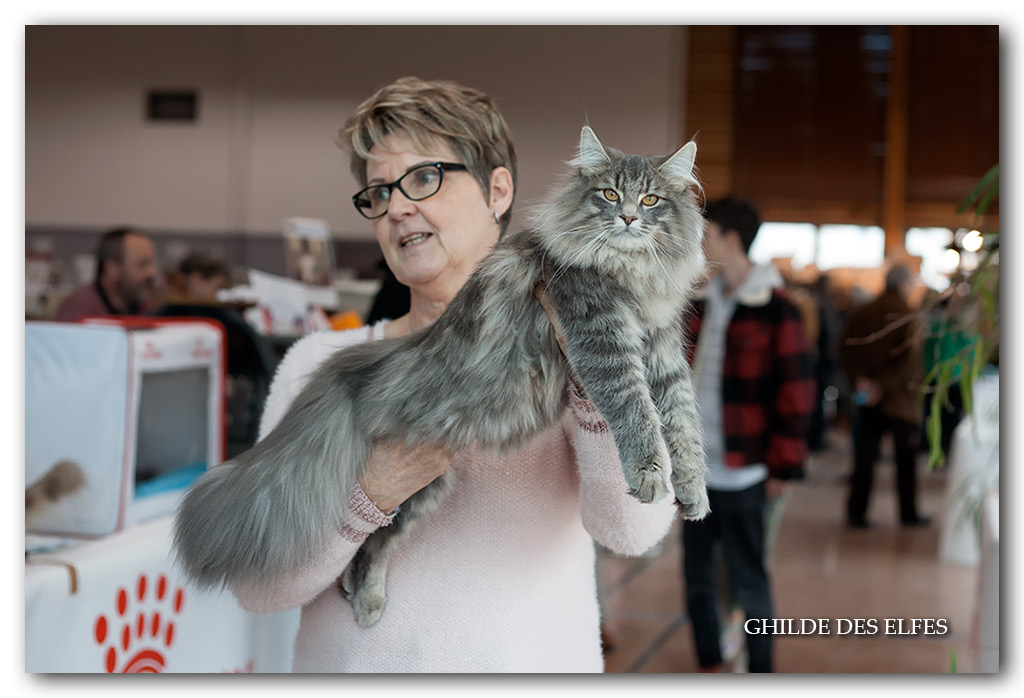 Moscone2.jpg - Nalya de la Forêt d'Agre