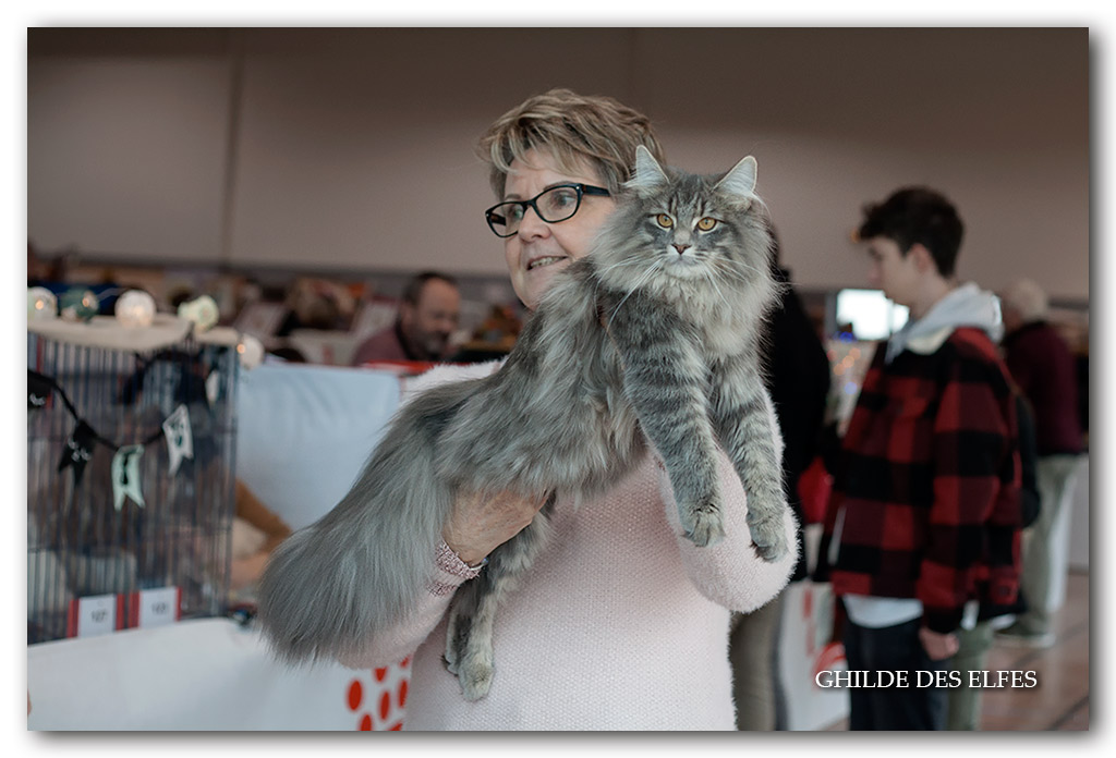 Moscone3.jpg - Nalya de la Forêt d'Agre