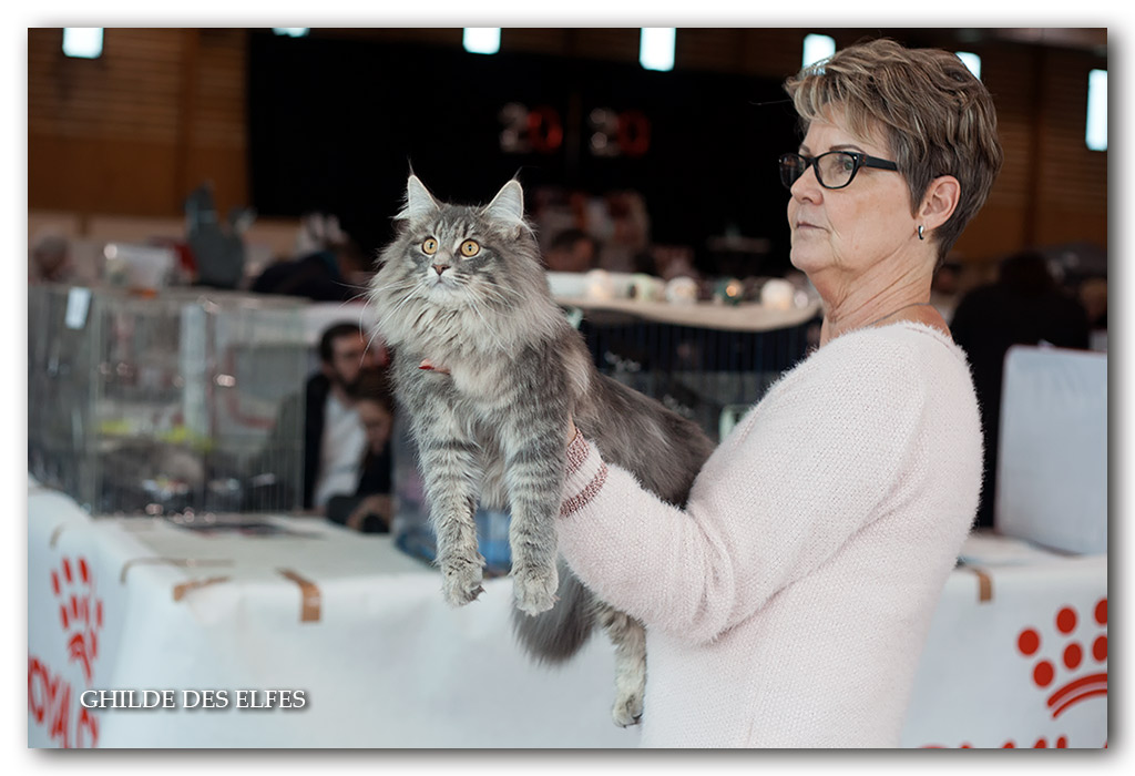 Moscone4.jpg - Nalya de la Forêt d'Agre