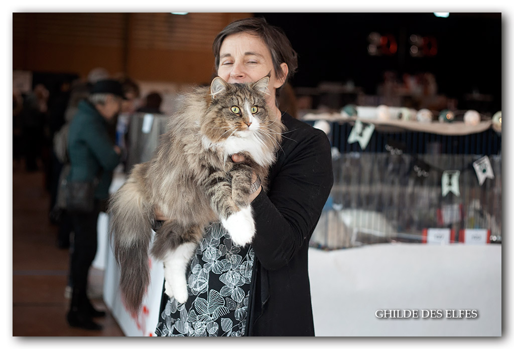 NADIRA1.jpg - Nadira des Graulières