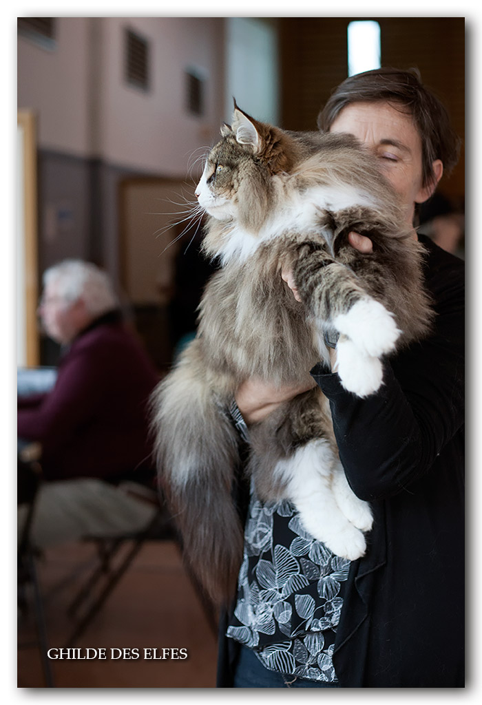 NADIRA2.jpg - Nadira des Graulières