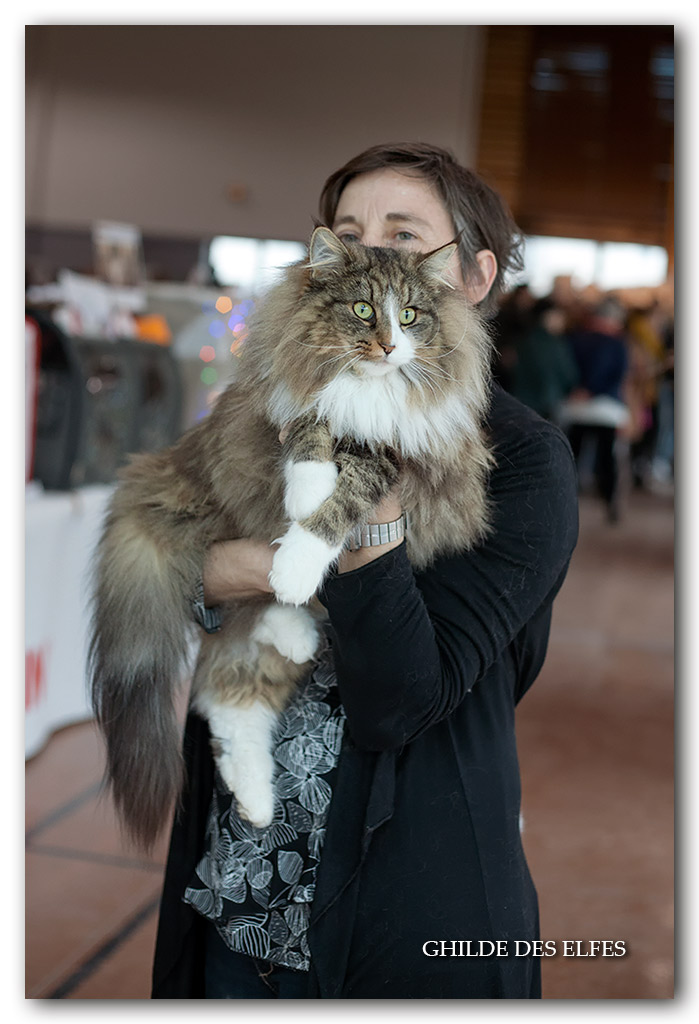 NADIRA3.jpg - Nadira des Graulières