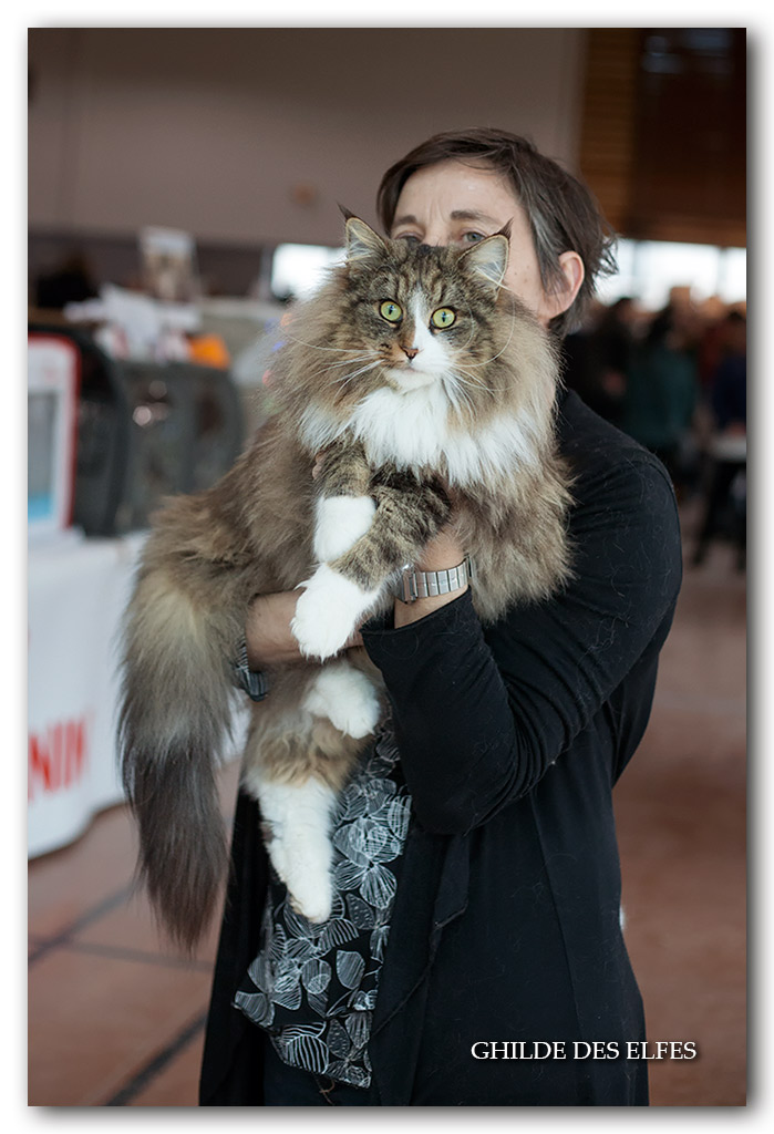 NADIRA4.jpg - Nadira des Graulières