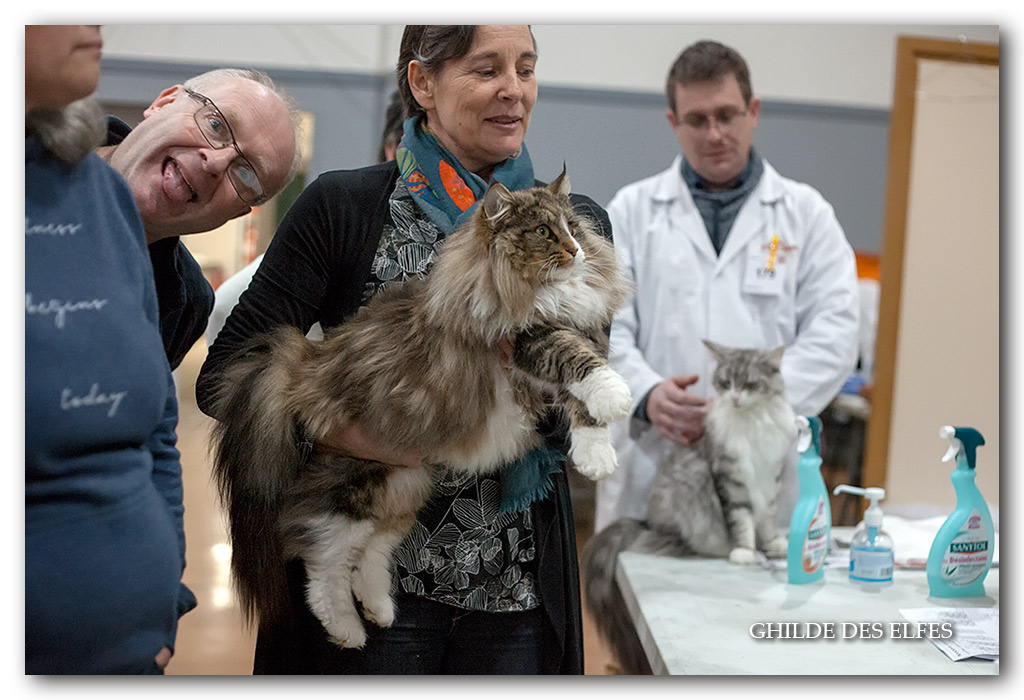 NADIRA5.jpg - Nadira des Graulières