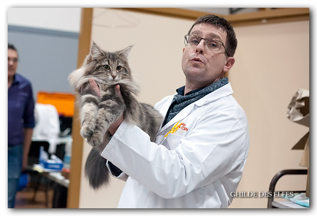 QUEENY4.jpg - Queeny de la Forêt d'Agre