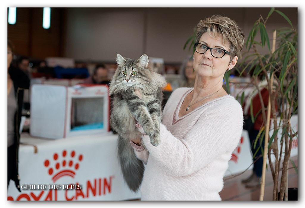 QUEENY5.jpg - Queeny de la Forêt d'Agre