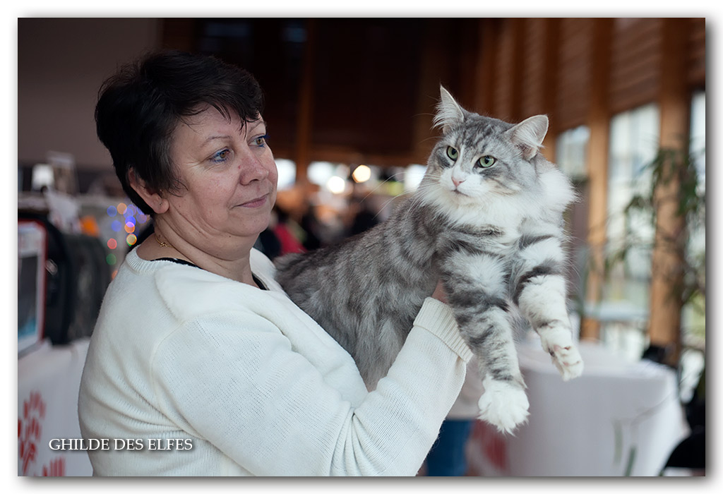 SARAH5.jpg - Ch N'Ma Jolie Sarah d'Horten's dream