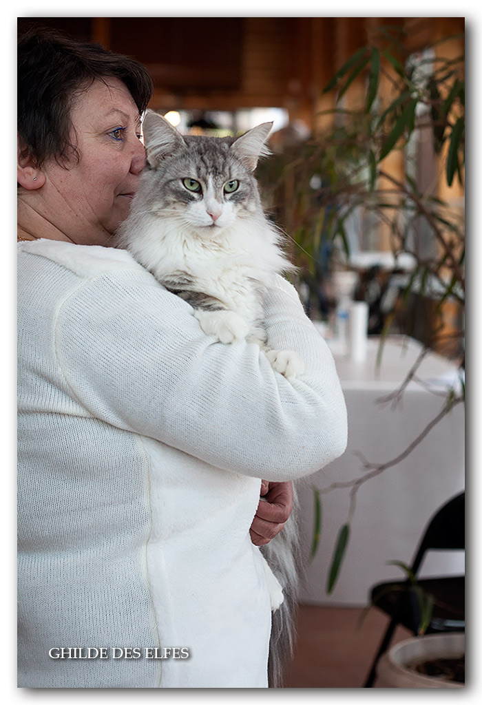 SARAH6.jpg - Ch N'Ma Jolie Sarah d'Horten's dream