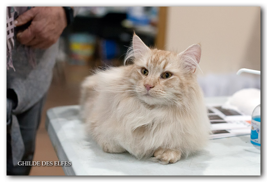 double-date-lapeyre1.jpg - Double Date Lapeyre