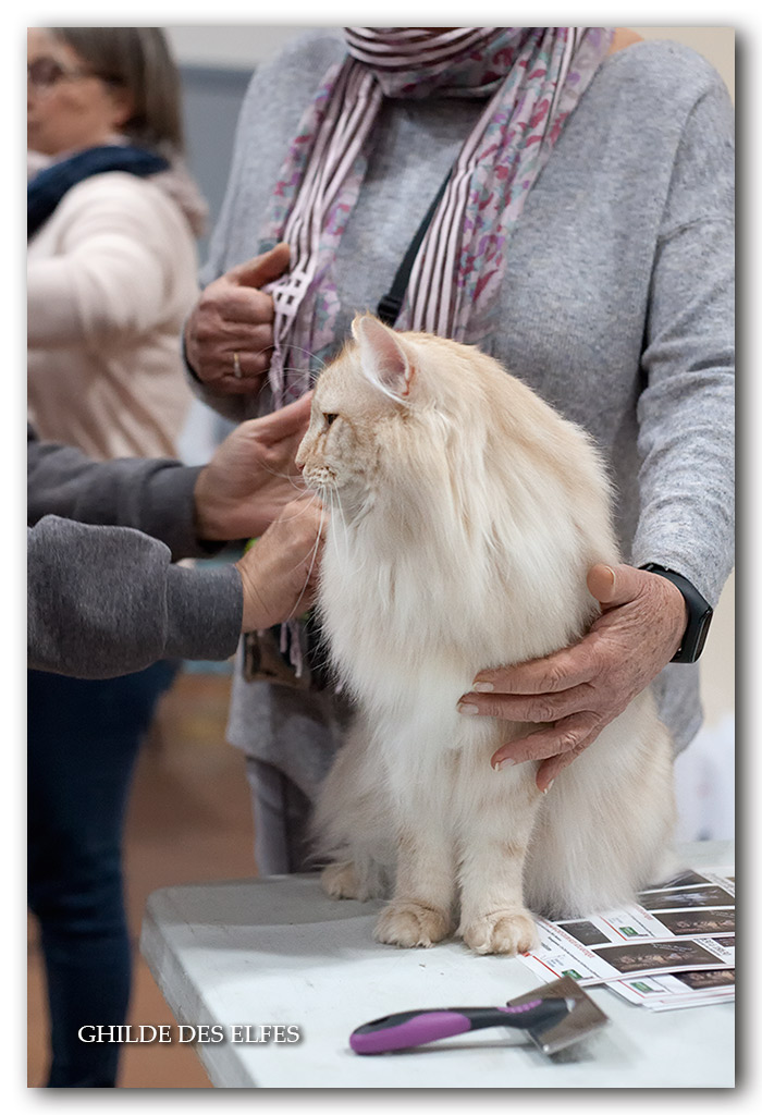 double-date-lapeyre2.jpg - Double Date Lapeyre