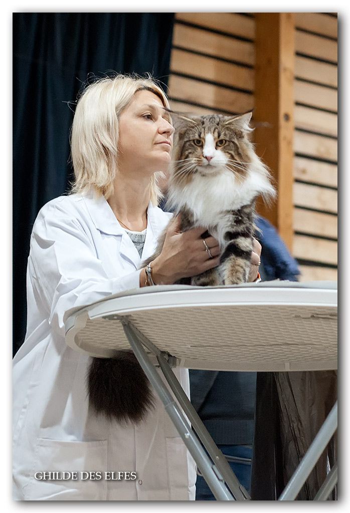 esbjerg's-o'malley1.jpg - Esbjerg's O'Malley