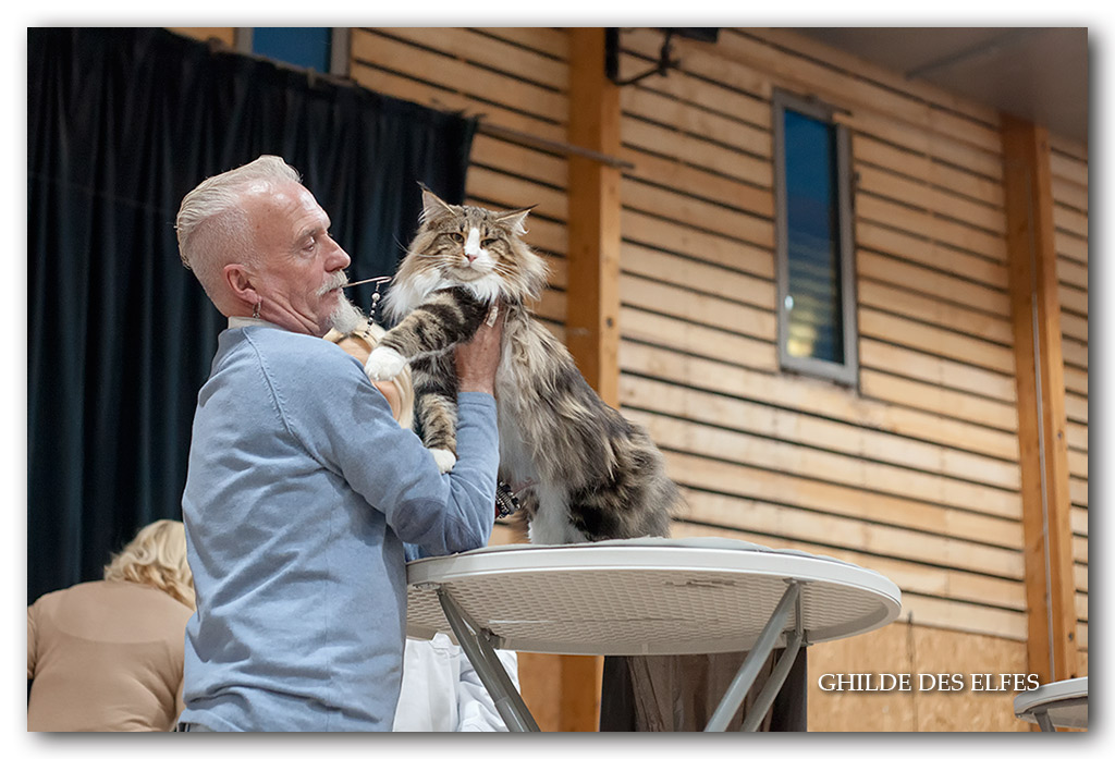 esbjerg's-o'malley2.jpg - Esbjerg's O'Malley