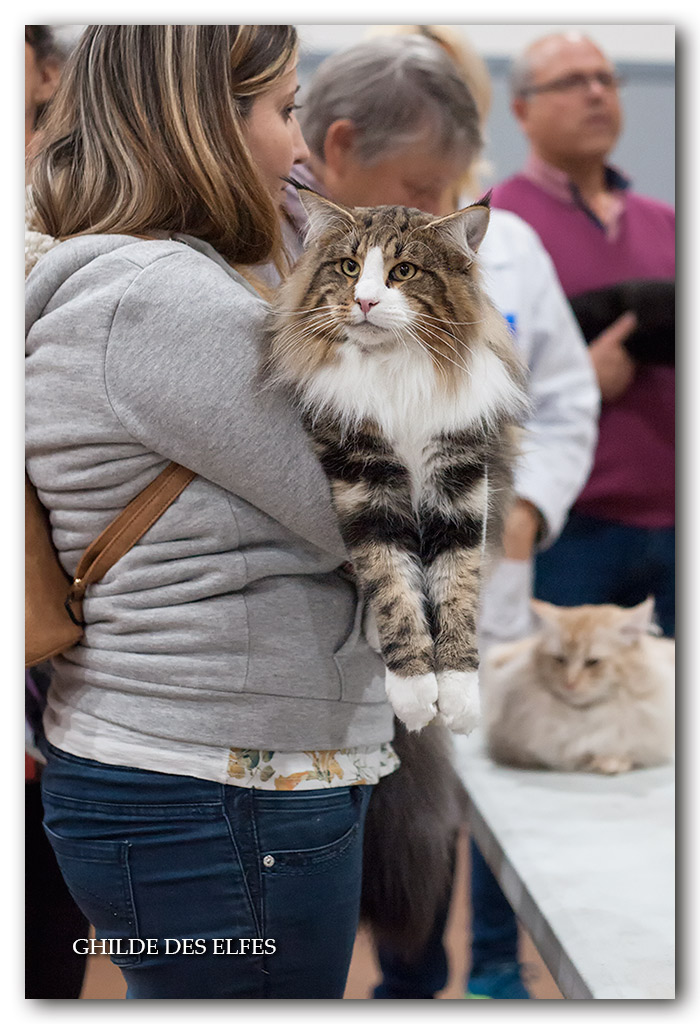 esbjerg's-o'malley3.jpg - Esbjerg's O'Malley