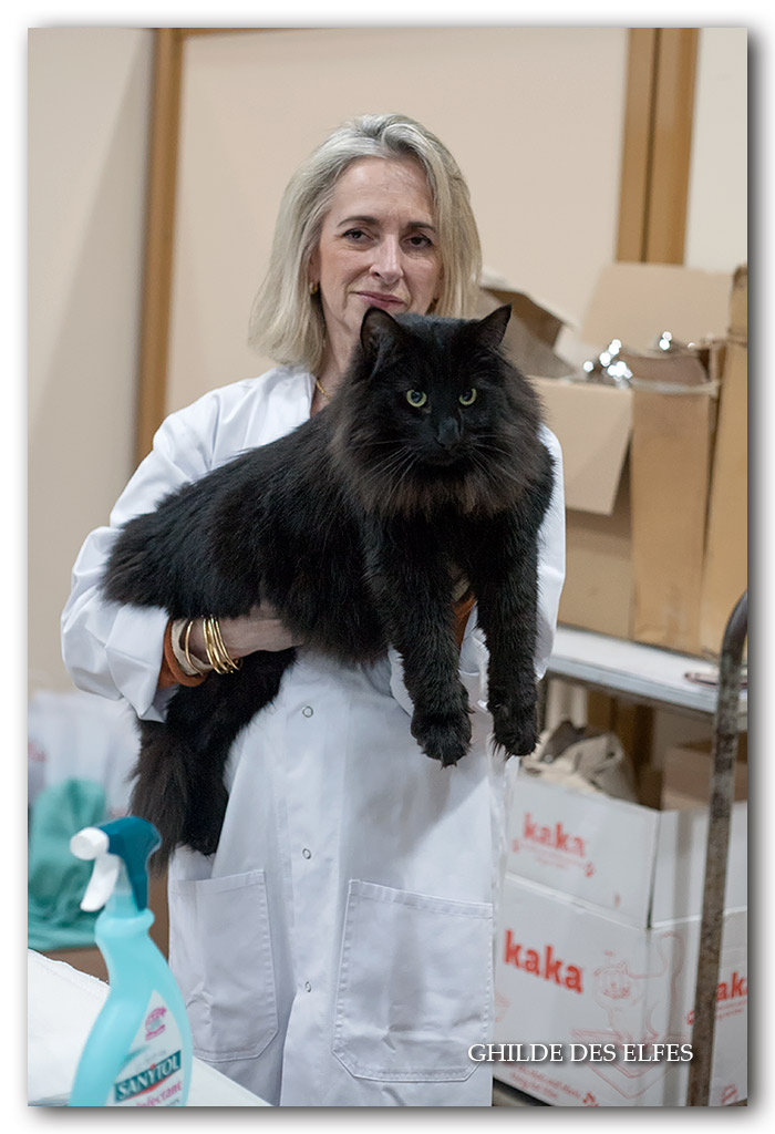 noir4.jpg - New Look de Millepoils