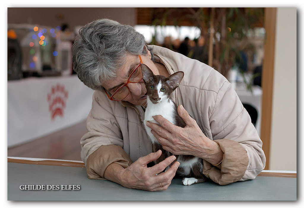 orientale4.jpg - Pavlova du Bois du Fay