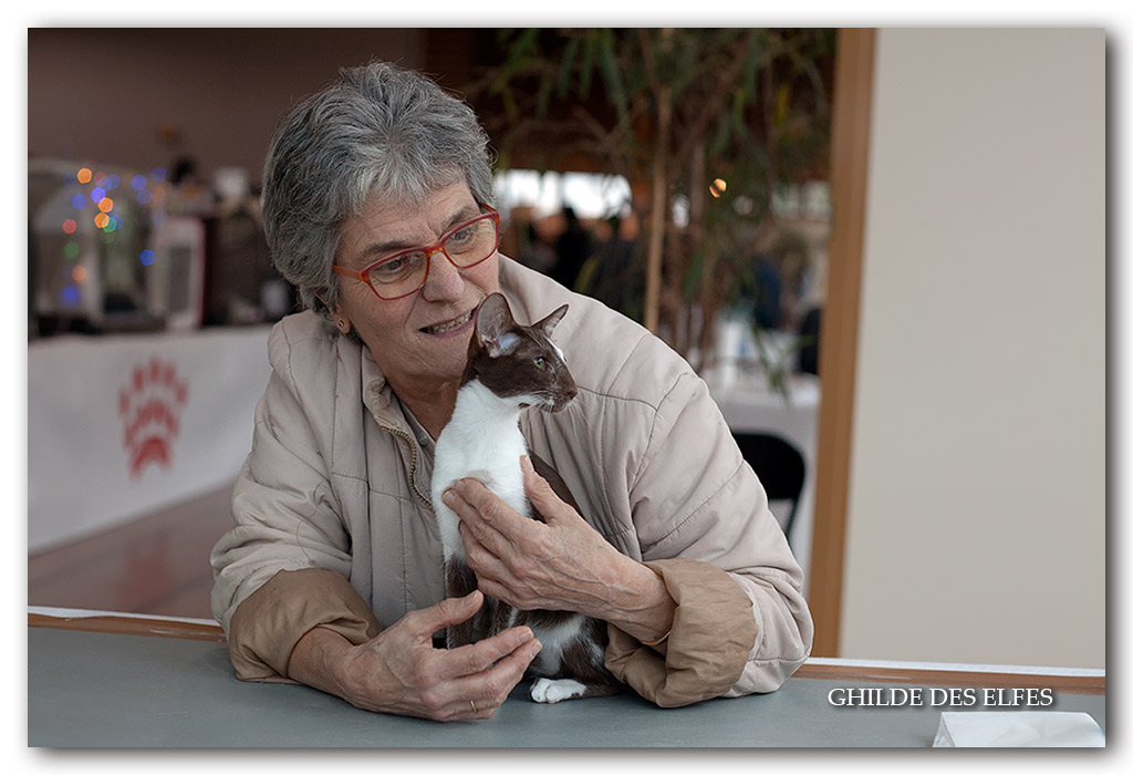 orientale5.jpg - Pavlova du Bois du Fay