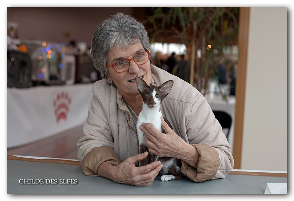 orientale6.jpg - Pavlova du Bois du Fay