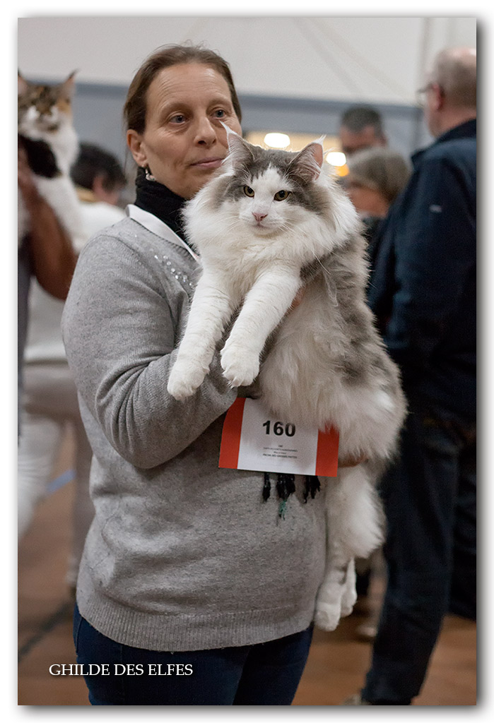 pacha-des-grosses-pattes2.jpg - Pacha des grosses pattes