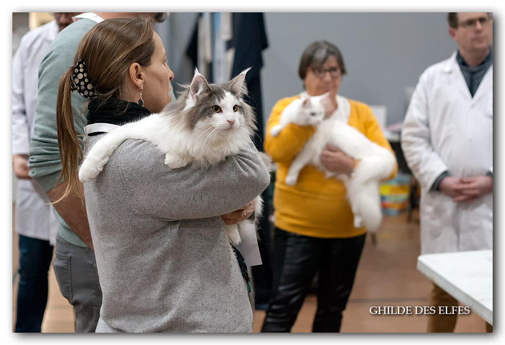 pacha-des-grosses-pattes5.jpg - Pacha des grosses pattes