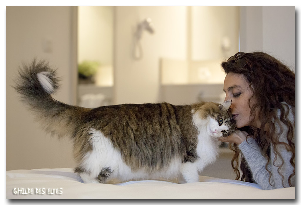 deedee_nicole1.jpg - Deedee de Khazad-Dûm et Nicole (her breeder)