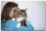 ikatz2