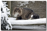 HELKA-NEIGE2
