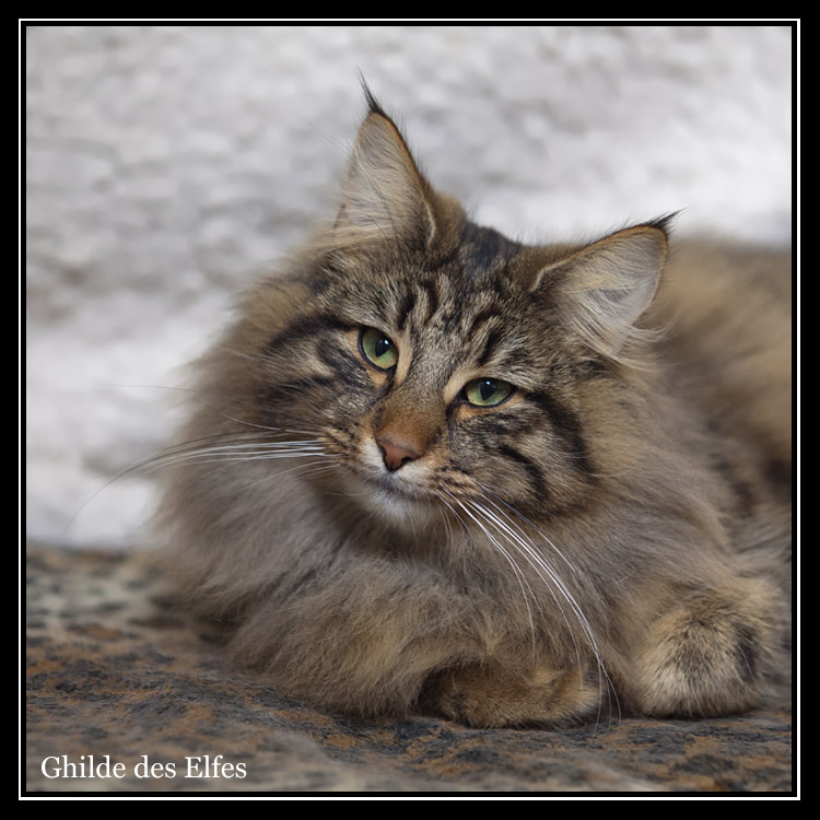 10mois_3sem3.jpg - Henora de la Ghilde des Elfes, dix mois et trois semaines