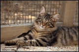 henora_5mois2_1024