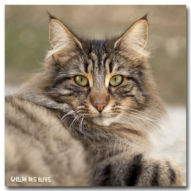 henora24.jpg - Henora de la Ghilde des Elfes, 2 ans