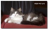 bella4_5mois