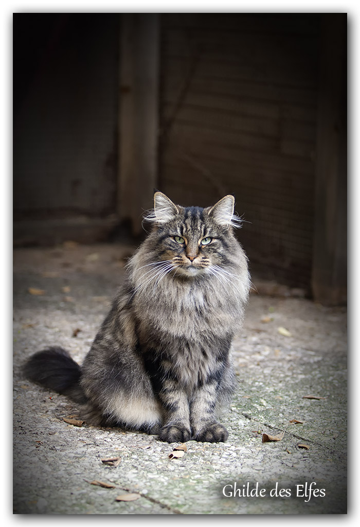 LINDSAY1.jpg - 4 ans
