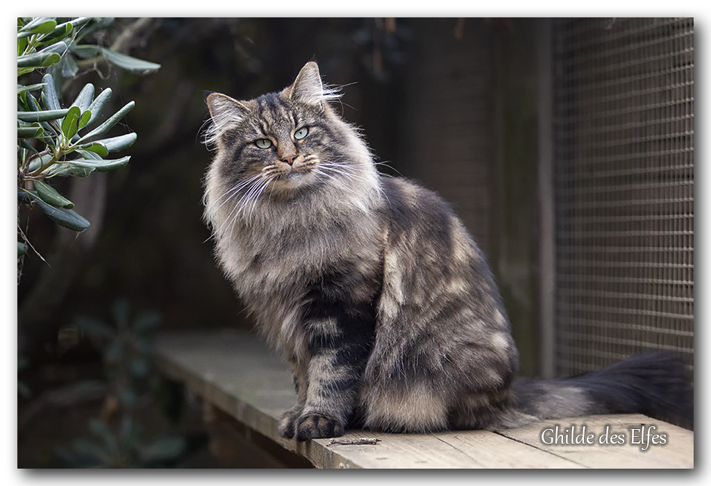 LINDSAY10.jpg - 4 ans