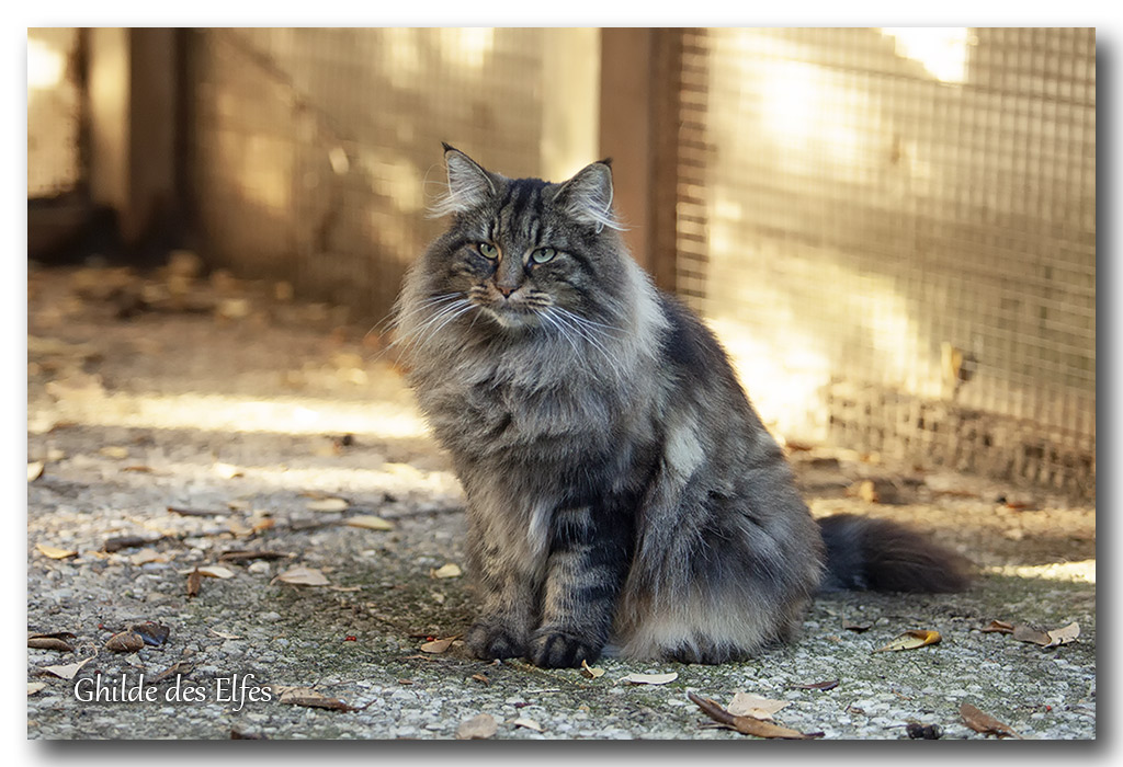 LINDSAY12.jpg - 4 ans