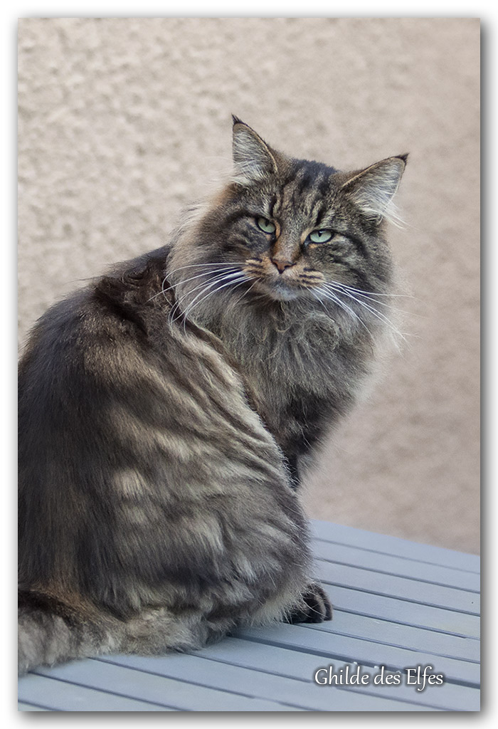 LINDSAY13.jpg - 4 ans