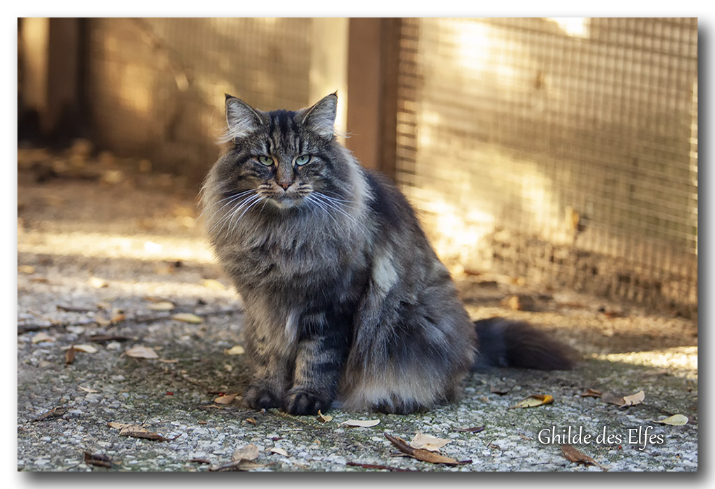LINDSAY15.jpg - 4 ans