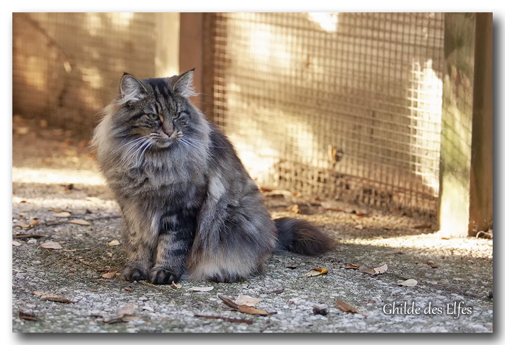 LINDSAY16.jpg - 4 ans