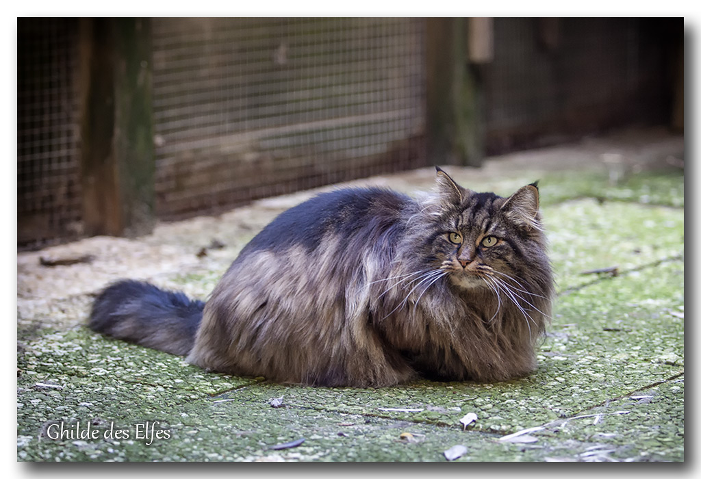 LINDSAY17.jpg - 4 ans