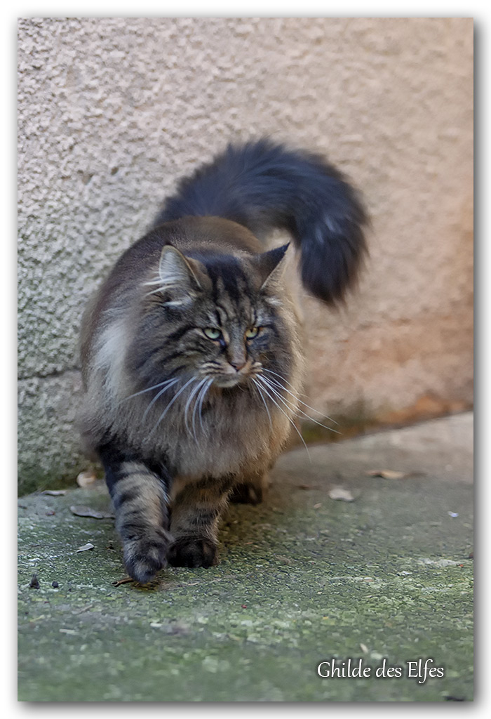 LINDSAY18.jpg - 4 ans