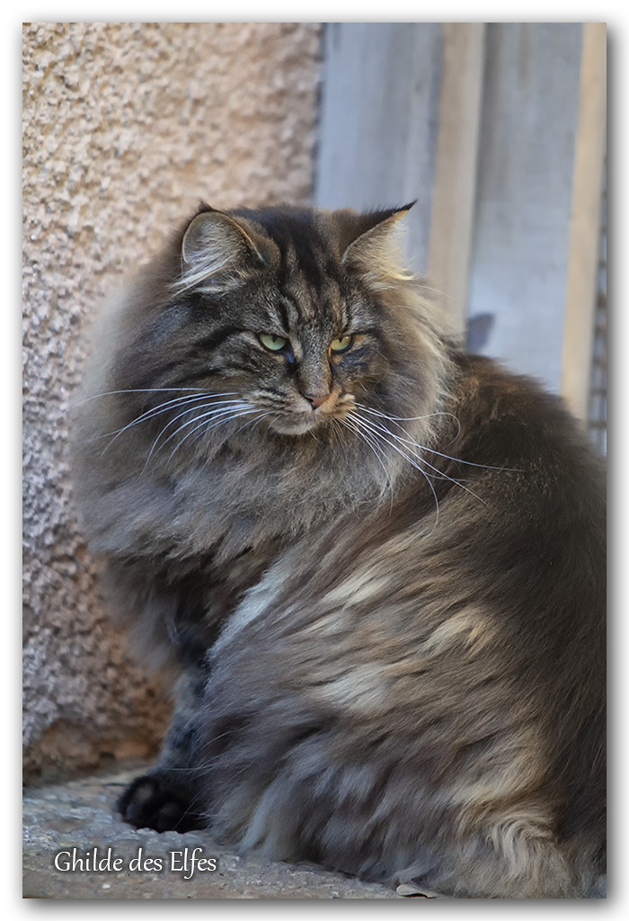 LINDSAY19.jpg - 4 ans