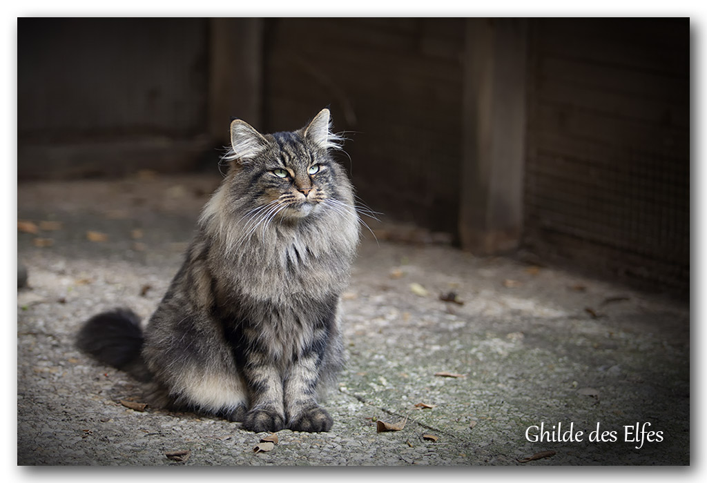 LINDSAY2.jpg - 4 ans