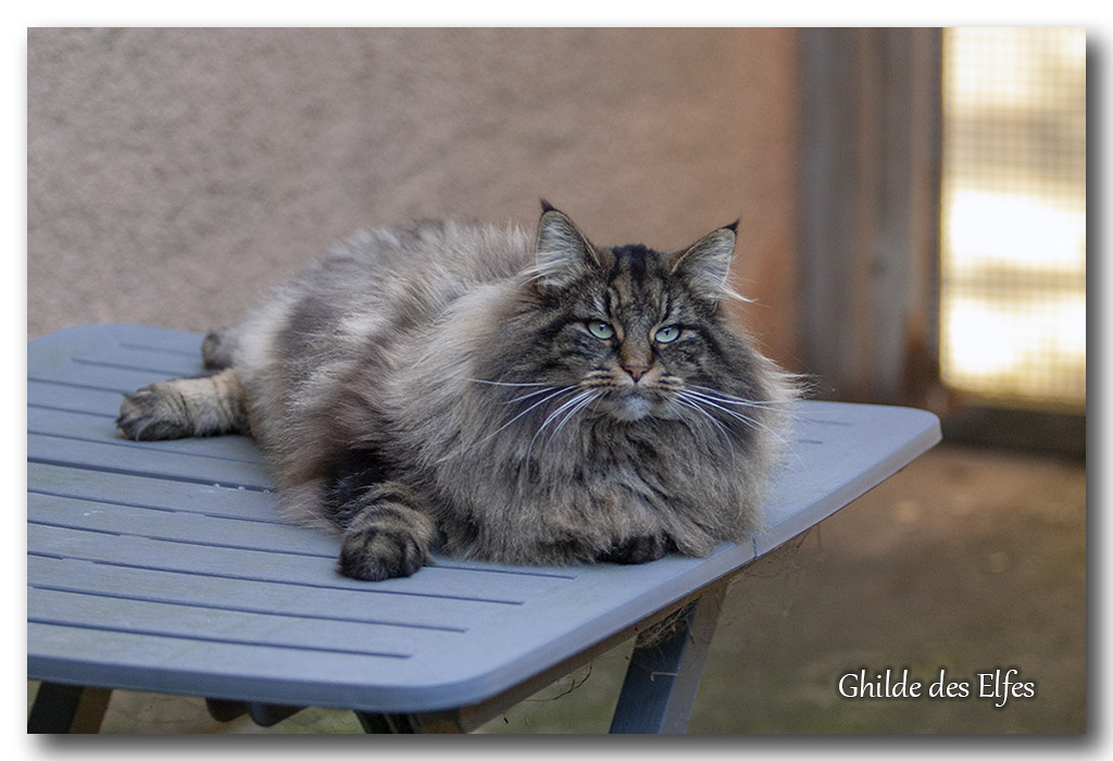 LINDSAY20.jpg - 4 ans