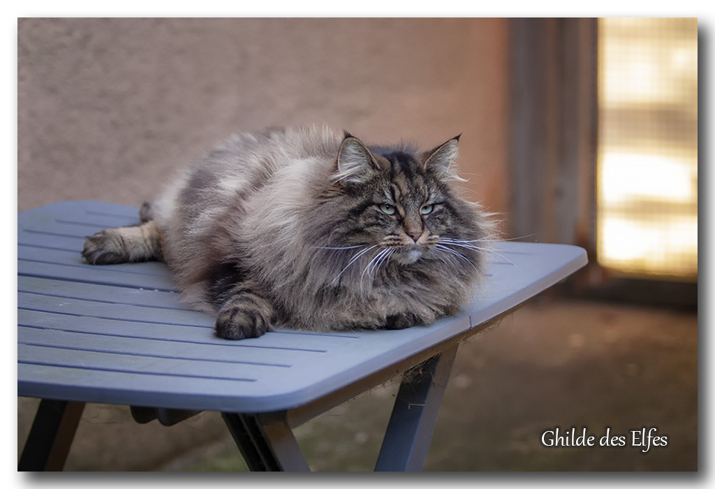 LINDSAY21.jpg - 4 ans