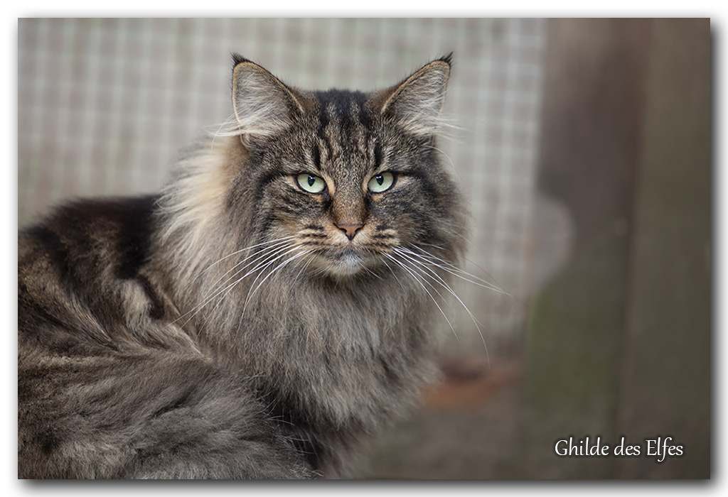 LINDSAY4.jpg - 4 ans
