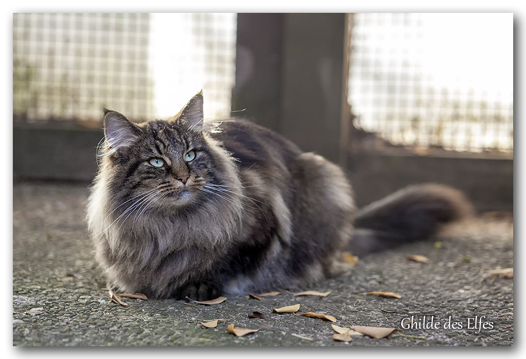 LINDSAY7.jpg - 4 ans